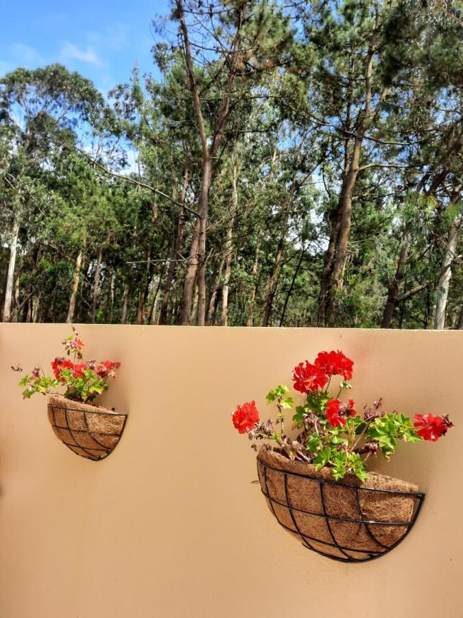 Smiling Places - Guest House In Labruge Ngoại thất bức ảnh